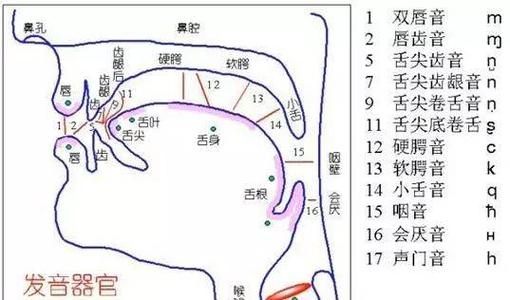 行腔要婉转,就以开,齐,搓,合概括了歌唱发音状态的基本口型分类