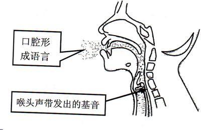 唱低音技巧和发声方法 唱歌怎么用假声