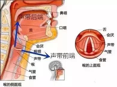 幼儿舞蹈教案范文_幼儿小班简单舞蹈教案_幼儿大班舞蹈教案