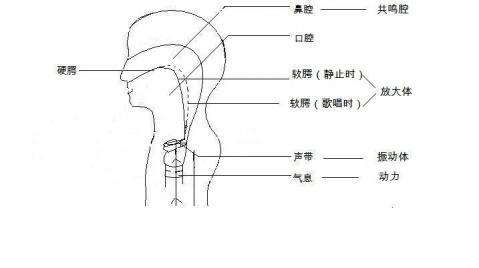 用鼻腔共鸣唱歌好不好 唱歌怎么头腔共鸣