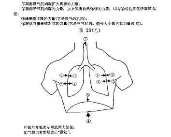 唱歌气息支持的高阶教程，全方位解决你的气息问题！