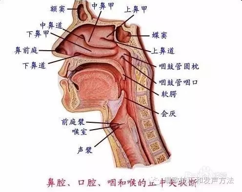 分享2个唱高音的小技巧