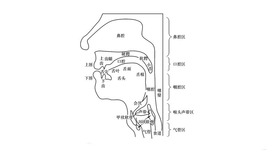 音调提升指南：呼吸发音与实践