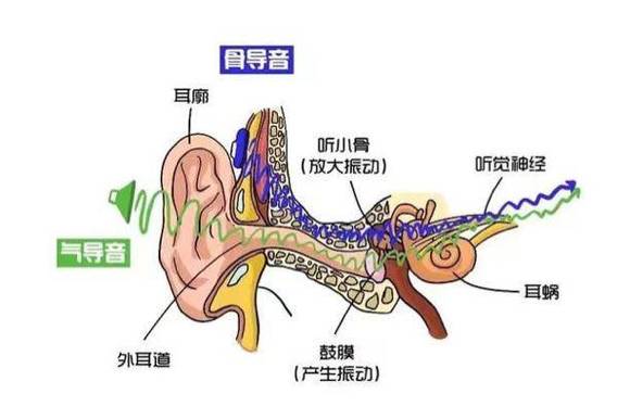 揭秘强混声与弱混声：声学现象在音乐与日常中的应用