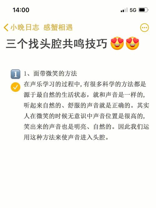 揭秘混声唱法：腔体共鸣的奥秘与技巧解析