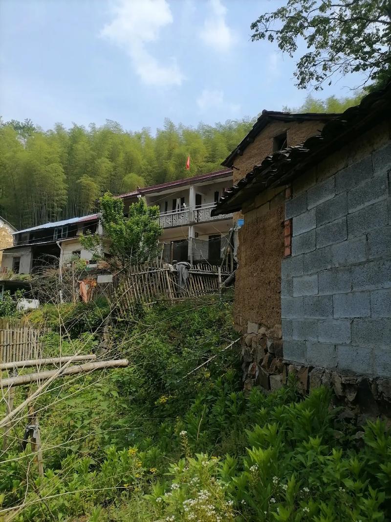 《山水间的家》第三季：赵岙与柑园村的乡村振兴实践