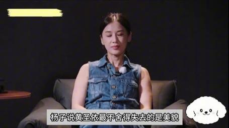 《再见爱人4》杨子黄圣依婚姻危机引热议