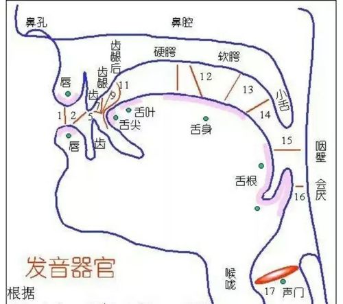 唱歌气息控制：吸气储存技巧详解