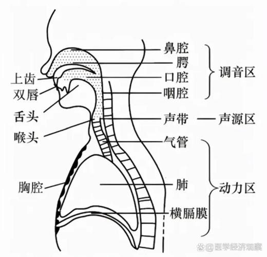 唱歌口腔打开四步法图解教程