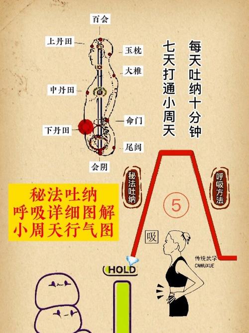 道家吐纳呼吸法入门技巧全解析