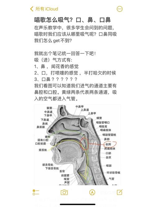 唱歌呼吸技巧：鼻子出气为何正常？