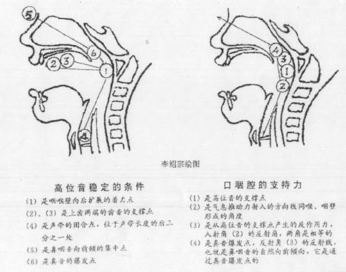 适合学习美声的四大要素解析