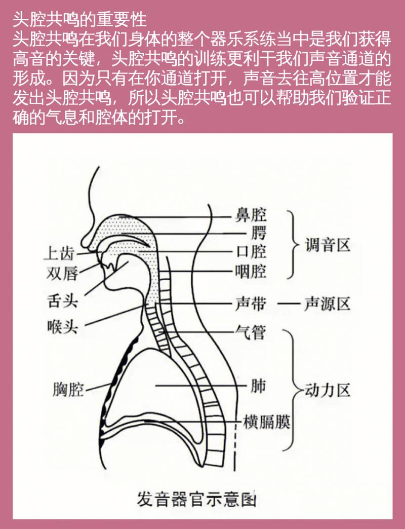 掌握美声高音秘诀：轻松释放头部共鸣