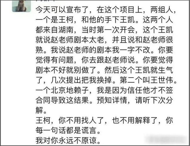 高群书被踢出《闪耀的警徽》剧组：真相与争议