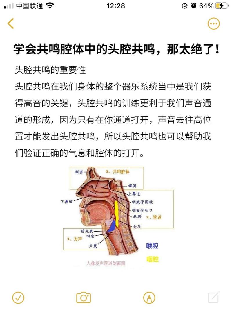 腹腔共鸣唱歌技巧全解